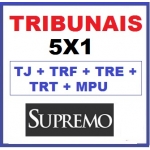 Analista Tribunais 5x1 - TJ + TRF + TRE + TRT + MPU  - 2015.2